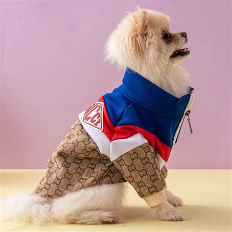 gucci dog clothes|gucci inspired dog clothes.